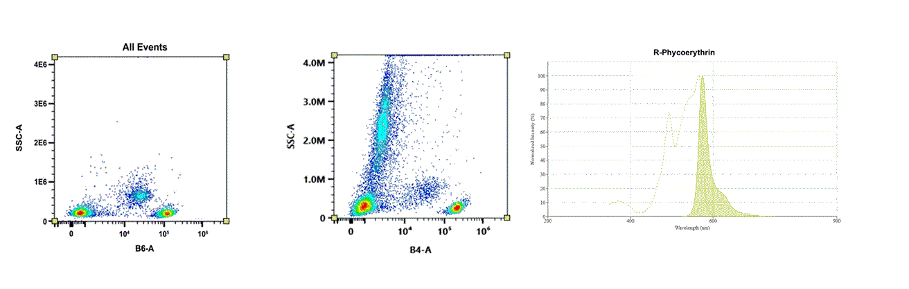Molecular structure of the compound: R-Phycoerythrin