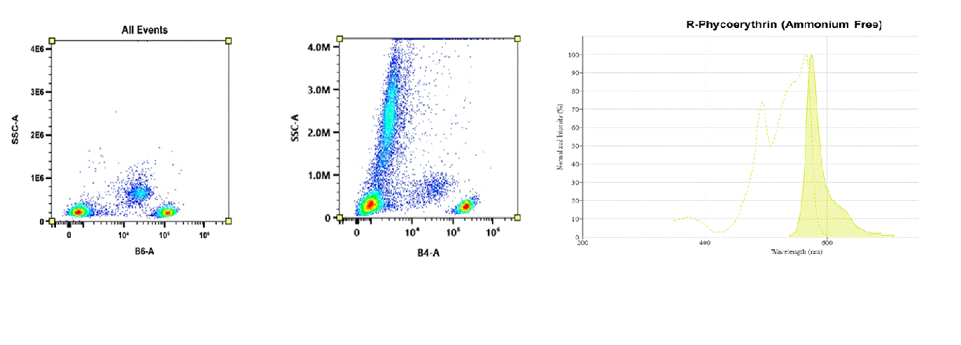 Molecular structure of the compound: R-Phycoerythrin (Ammonium Free)