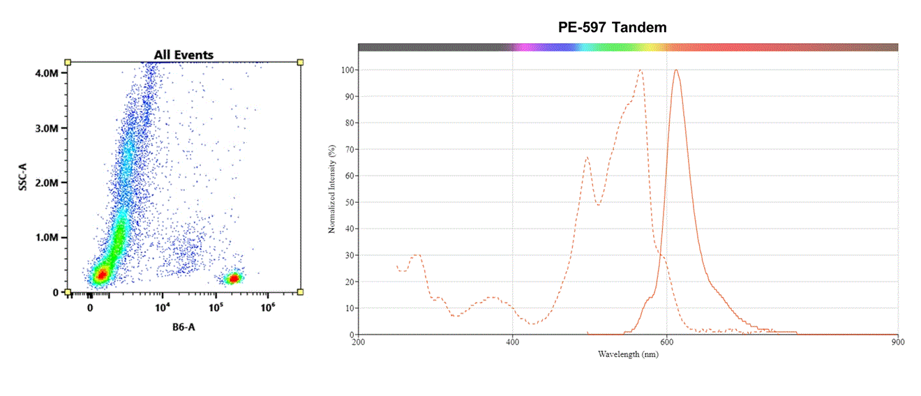 Molecular structure of the compound: PE-597 Tandem