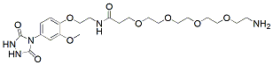 Molecular structure of the compound: PTAD-PEG4-amine