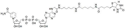 Molecular structure of the compound: 6-Biotin-17-NAD