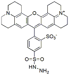 Molecular structure of the compound: TR hydrazide, 5-isomer