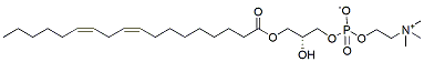 Molecular structure of the compound: 18:2 LysoPC