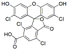 Molecular structure of the compound: TET carboxylic acid, 6-isomer