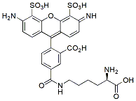 Molecular structure of the compound: BP Fluor 488 labeled D-Lysine