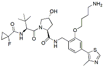 Molecular structure of the compound: VH 101 phenol-alkylC4-amine, HCl salt