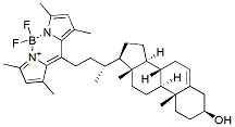 Molecular structure of the compound: BODIPY-Cholesterol