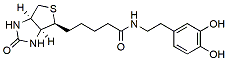 Molecular structure of the compound: N-Biotinyl Dopamine