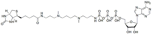 Molecular structure of the compound: ATP-polyamine-biotin