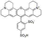 Molecular structure of the compound: SR101 Astroglia Stain