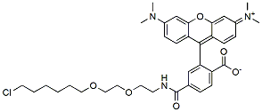 Molecular structure of the compound: Halo Tag TAMRA