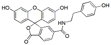 Molecular structure of the compound: Fluorescein tyramide
