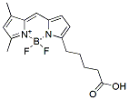 Molecular structure of the compound: BDP FL C5