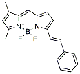 Molecular structure of the compound: STY-BODIPY