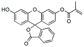 Molecular structure of the compound: Fluorescein O-methacrylate