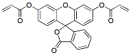 Molecular structure of the compound: Fluorescein O,O-diacrylate