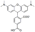 Molecular structure of the compound: 5-TAMRA acid