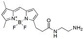 Molecular structure of the compound: BODIPY FL-EDA