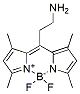Molecular structure of the compound: BODIPY FL Ethylamine