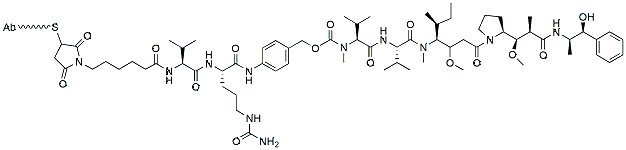 Molecular structure of the compound: Trastuzumab-MMAE