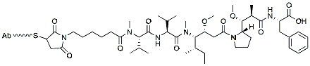 Molecular structure of the compound: Trastuzumab-MMAF
