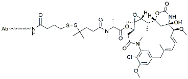 Molecular structure of the compound: Trastuzumab-DM4
