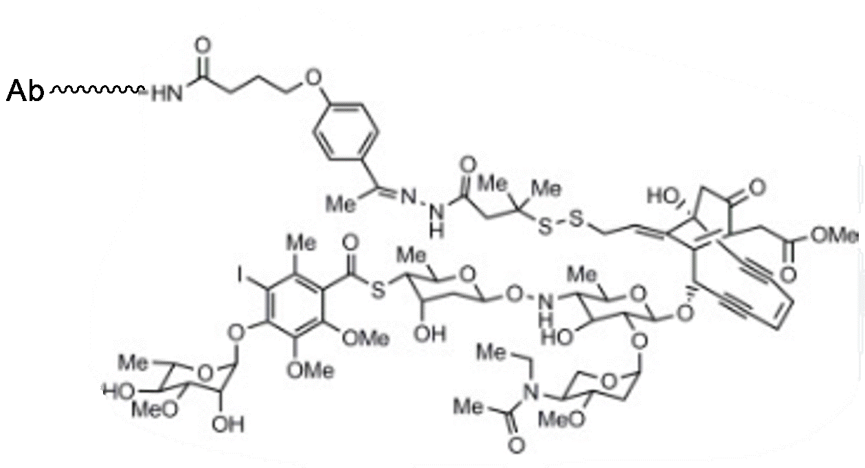 Molecular structure of the compound: Trastuzumab-Calicheamicin