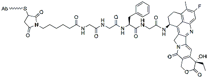 Molecular structure of the compound: Fam-Trastuzumab deruxtecan-nxki (ENHERTU®)