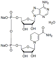 Molecular structure of the compound: Beta-nicotinamide adenine dinucleotide disodium salt hydrate, reduced form