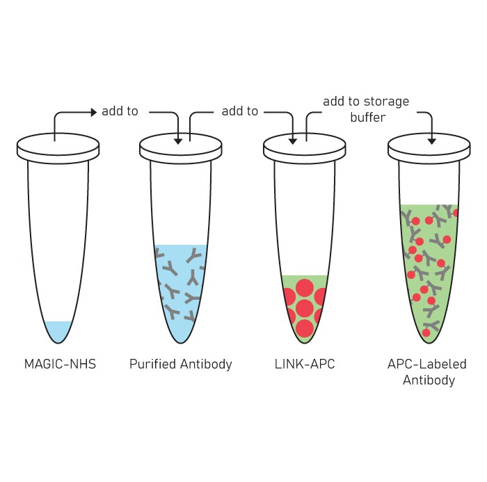 magic link APC-labeled antibody vials diagram