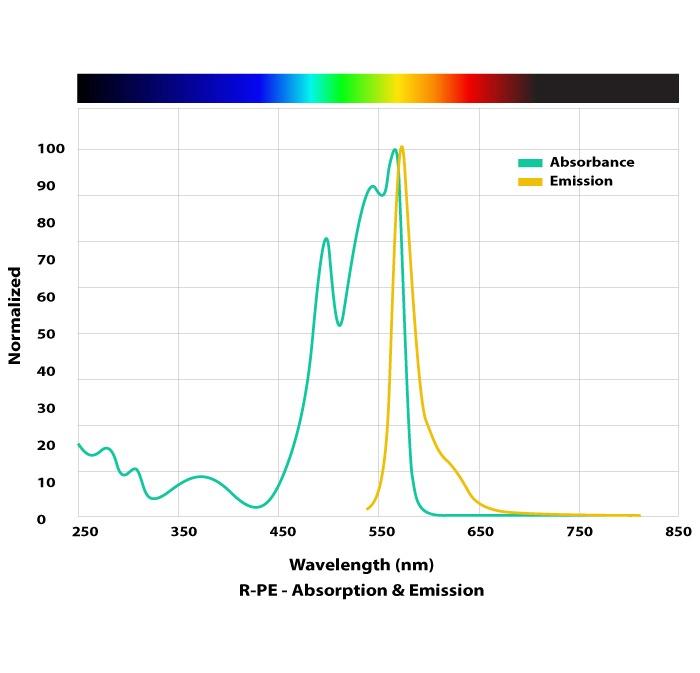 R-PE Absorption and emission normalized wavelength graph